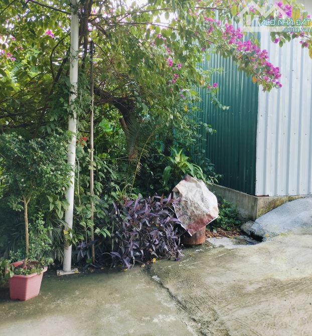 Bán đất ngõ đường Trần Tất Văn, Kiến An, Hải Phòng