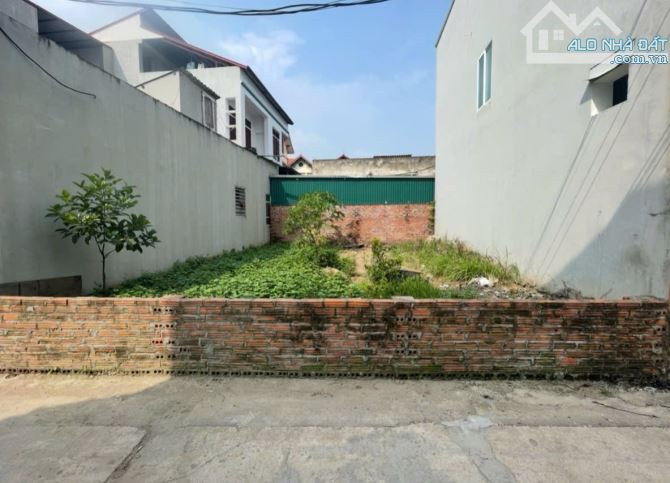🔥BÁN LÔ ĐẤT HIẾM – TRÁNG VIỆT, MÊ LINH – HÀ NỘI🔥 DT 74m² – MT rộng hơn 7m – 2 Ô TÔ TRÁNH
