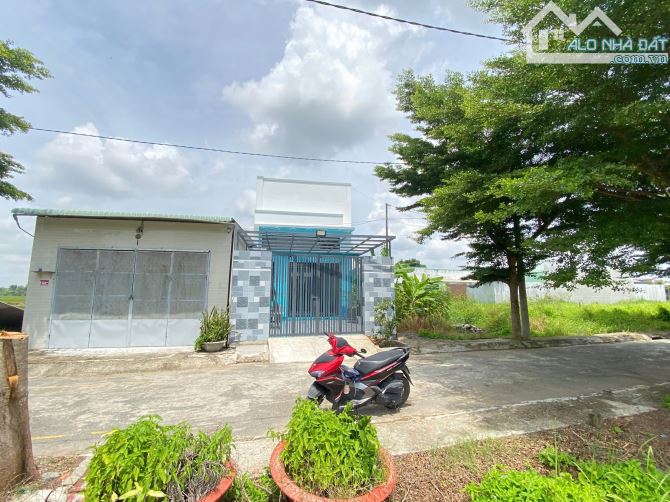Nền Thổ _dt 124m2 MT Nhựa 5m, Gần QL1A, Mỹ Bình Tân Trụ LA, Giá 750 Tr
