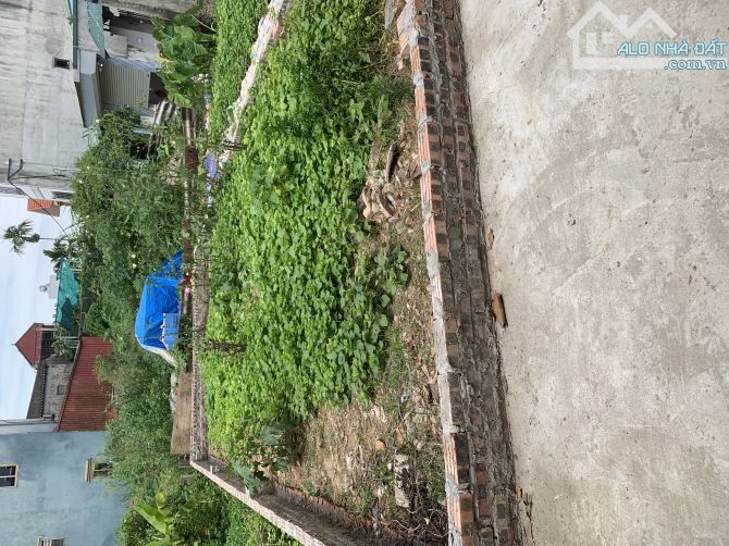 bán đất hội phụ trước cổng vin cổ loa, gần vòng xuyến cầu tứ liên