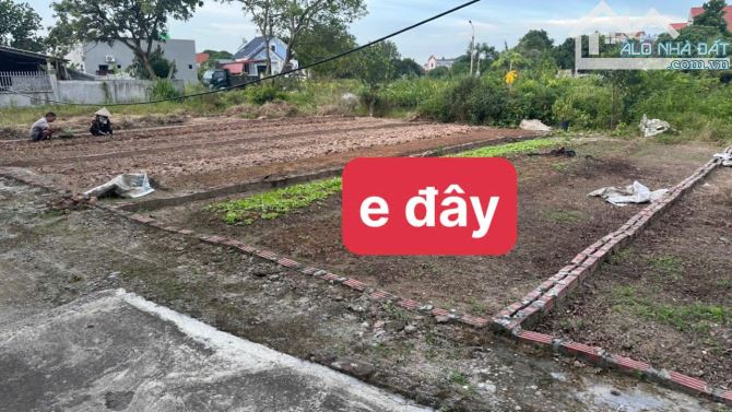 🎉 BÁN ĐẤT ĐÔ THỊ - PHÙ CỪ - HƯNG YÊN - Ô TÔ - SẴN SỔ🎉🎉