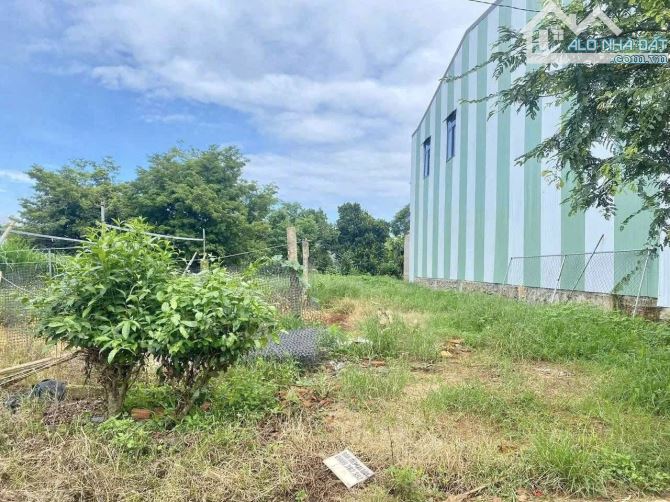 💥Đất hẻm cấp 1 đường C - thôn 3 Cư Ebur - 5 x 30m (thổ cư 100%) - 1.550 tỷ