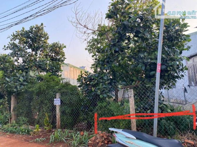 Bán Đất Cao Thành - Phường EaKao Chưa Tới Chợ