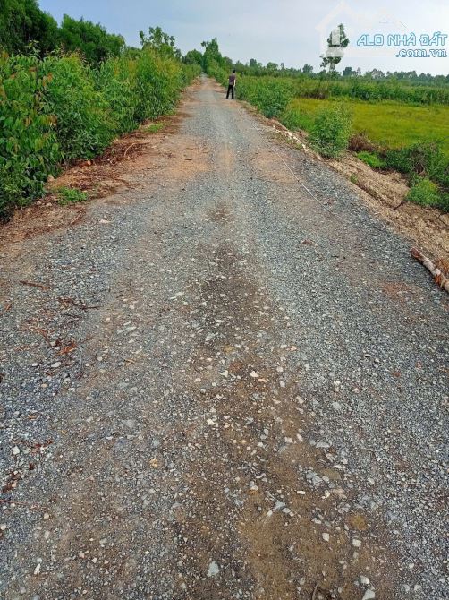 4ha tại xã Mỹ Bình, xe hơi tới đất sổ hồng riêng