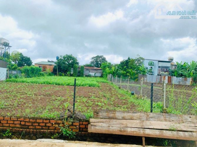 GIA CHỦ KẸT TIỀN – BÁN GẤP LÔ ĐẤT TÂM HUYẾT Vị trí: Thôn 6, Hoà Khánh – Buôn Ma Thuột