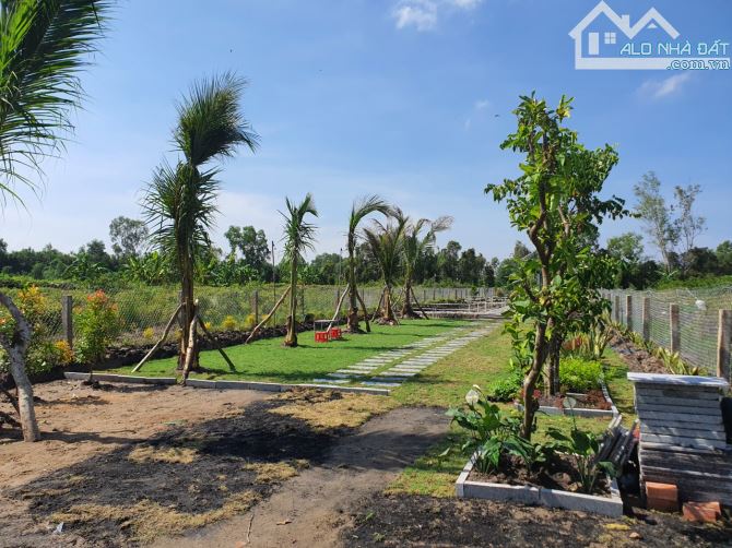 Bỏ phố về vườn, 455,4m2, SHR, Phước Thạnh, Giá 1 tỷ 250. - 10