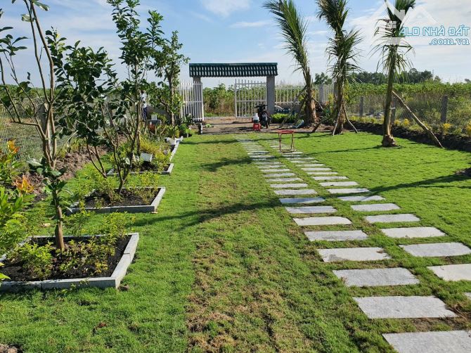 Bỏ phố về vườn, 455,4m2, SHR, Phước Thạnh, Giá 1 tỷ 250. - 11