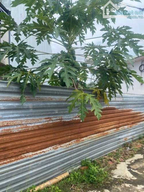 BÁN ĐẤT THỔ CƯ FULL HẺM 354 NGUYỄN VĂN CỪ - PHƯỜNG TÂN LẬP !!! - 1