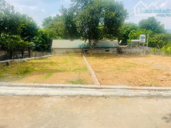 Bán Nhanh Lô Đất 110m² Mặt Trục Chính Trải Nhựa Phường Tùng Thiện, TP Hà Nội - 1
