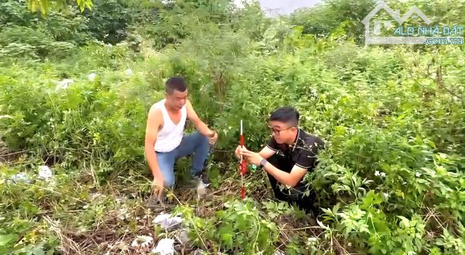 -Lô góc mặt đường đôi 30m TĐC Cây Đa 13 gốc  đường Bạch Thái Bưởi Lê Hồng Phong văn cao - 1