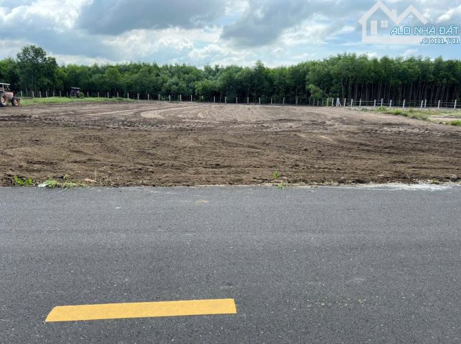Bán nhanh 2 lô đối diện cổng kcn Đất Đỏ - xã Đất Đỏ. BRVT khu dân cư . 👉 Diện tích 190m²/ - 1