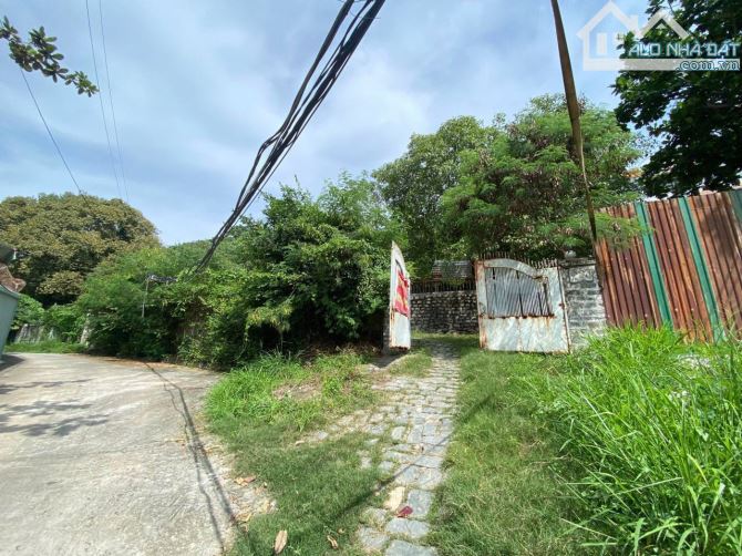 Bán 1000m2 Đất Hẻm Oto Trần Phú , diện tích (30x33) - Giá: 45Tỷ - 1