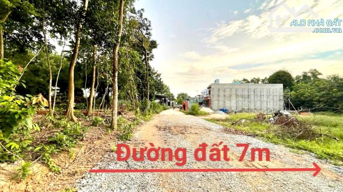 Đất Hiếm – P. Hiệp An  5 x 49m = 239,9m²   Thổ cư: 61,9m² - 1