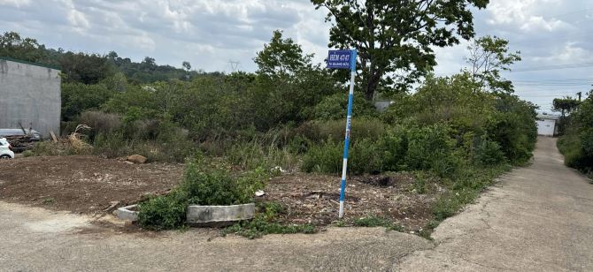 💎Lô TC 4,8x20m hẻm Tạ Quang Bửu, p Thành Nhất, cách ngã Sáu 6km - 1