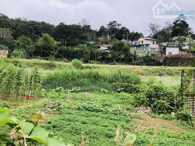 ĐẨT XÂY VILLA CÓ VIEW ĐƯỜNG TRẦN THÁI TÔNG P10 248M2 NGANG 12M CÁCH HỒ 2,4KM GIÁ 8.5 TỶ - 1