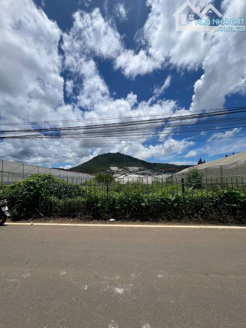 BÁN ĐẤT Ở BIỆT LẬP-THÁI PHIÊN,P12-GIÁ 9 TỶ 9 - 1
