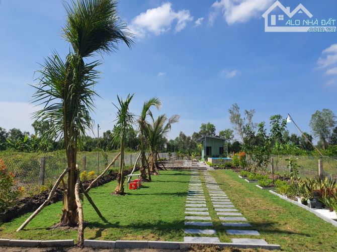 Bỏ phố về vườn, 455,4m2, SHR, Phước Thạnh, Giá 1 tỷ 250. - 1