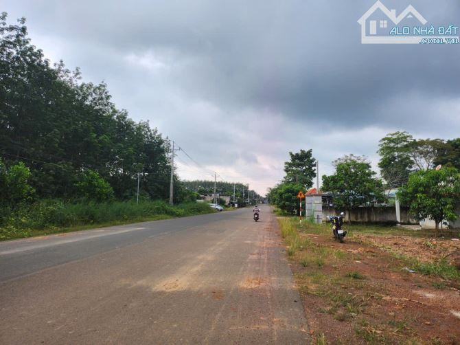 Bán 3.500m2 đất ngay chợ Tân Phước, đồng phú - 1