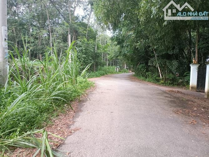 Đất Củ Chi, lô đất mặt tiền đường Bùi Thị Ngọn, dt 1176m2, có 164m thổ cư, xã An Nhơn Tây. - 1