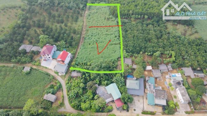 Cần bán 2000m đất ở 130m, Tú sơn, Kim Bôi Hòa Bình. - 1