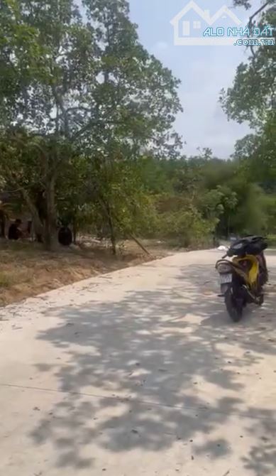 1 sào đất chỉ 480tr đường bê tông xe hơi đất sạch thuộc Đồng Nai - 1