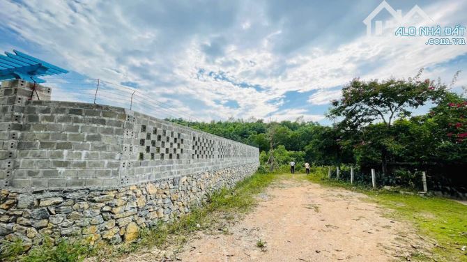 Bán đất dự án BOCA Cư Yên gần hồ Đồng Chanh diện tích 500m2 có TC lô góc 2 mặt tiền - 1