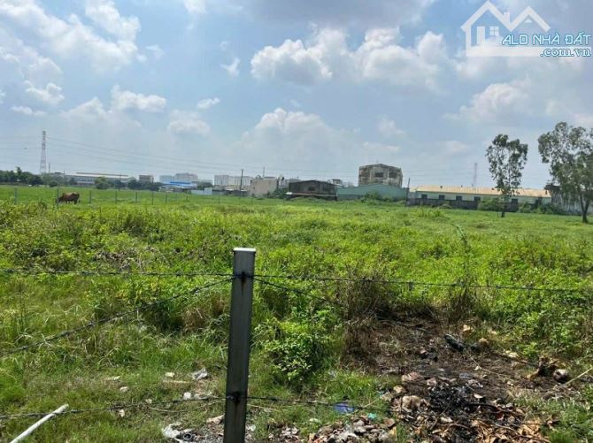 Bán đất mặt tiền Tiền Lân 13, Bà Điểm, Hóc Môn, 5524m2, ngang 83m, 2 mặt tiền tương lai - 1