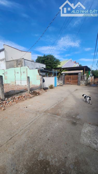 Bán đất nền cao ráo 137m2 ở Tân Phú Trung giá 900 triệu SHR - 1
