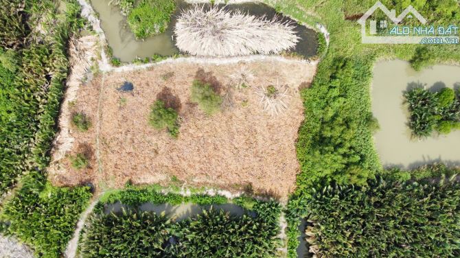 13 tỷ/1ha ĐẤT VƯỜN HIỆP PHƯỚC NHÀ BÈ - 1