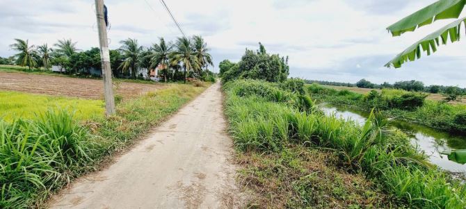 🌾 Cần bán hơn 4000m đất thuộc phường Hòa Thuận  ( đoạn gần chợ Hòa Thuận )  👍 Lộ đanl xe - 1