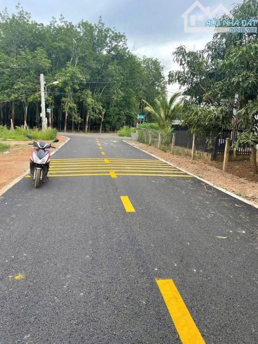 Đất gì mà đi 30 bước đã ra cổng khu công nghiệp. 280 tr mua đất, thêm trăm xây trọ - 1