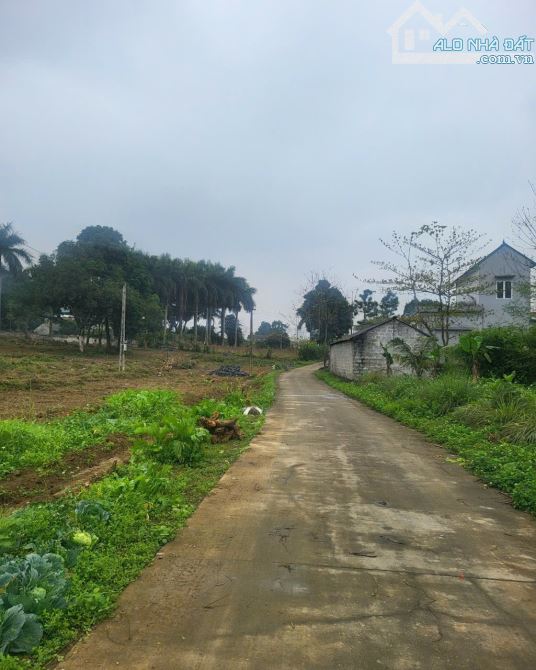SIÊUPHẨM LÔ ĐẤT NGHỈ DƯỠG GẦN HỒ -VIEW THOÁNG -ĐƯỜNG OTO TRÁNH SIÊU RỘNG  -CÁCH TT HN 30KM - 1
