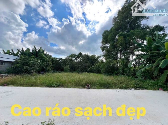 🏡 Chủ bán Lô Đất Tại TDP Lựu Bảo giá tốt Trục đường Lý Nam Đế-Lựu Bảo, khu dân cư hiện hữ - 1