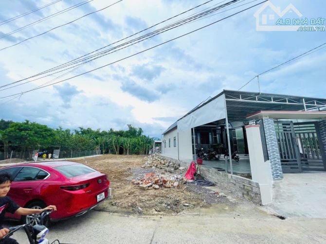 DA81 Bán đất đường Lỗ Đế xã Diên An - Diên Khánh - 1
