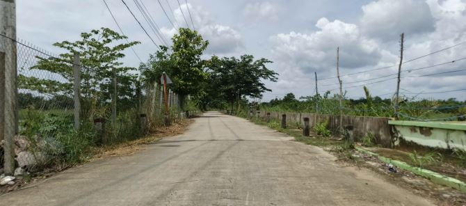 Bán 1100m2 Đất vườn MT Đường Gò Me - Có sẵn nhà chòi ao cá - 1