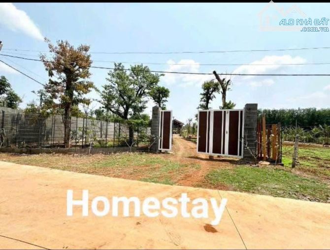 ĐẤT EATU  GIÁ RẺ - ĐỐI DIỆN ỦY BAN XÃ. CÁCH ỦY BAN CHỈ 300m. ĐƯỜNG BÊ TÔNG - 1