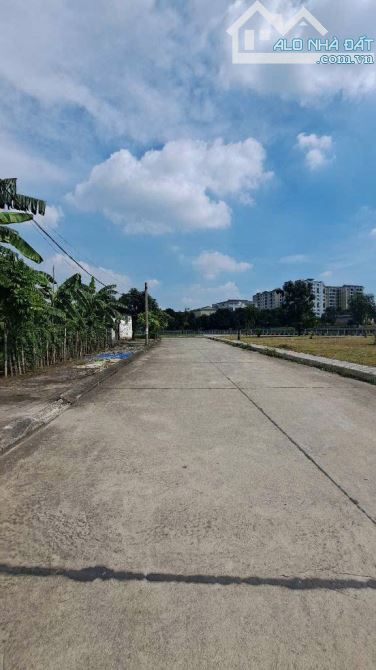 BÁN GẤP LÔ ĐẤT 80M² NGÃ TƯ ĐẶNG VŨ HỶ – VỊ TRÍ VÀNG, GIÁ TỐT, SỔ ĐẸP - 1