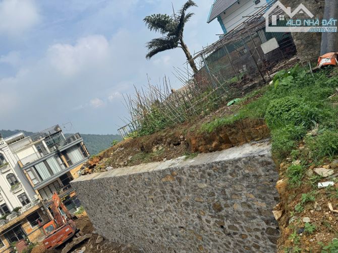 Bán 185m2 đất phố Cầu Mây, Tam Đảo. Giá 40.5tr/m2 - 1
