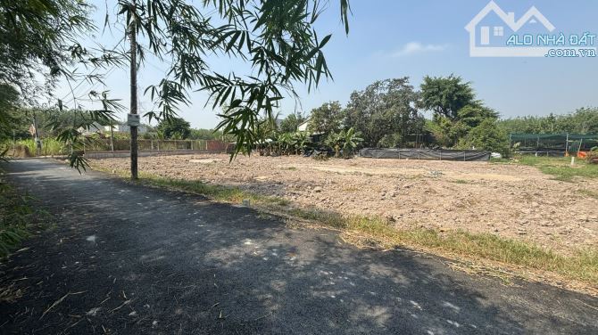 chính chủ bán đất gần chợ Lộc Hưng Trảng Bàng sổ hồng 200m2 đường nhựa 8mét - 1