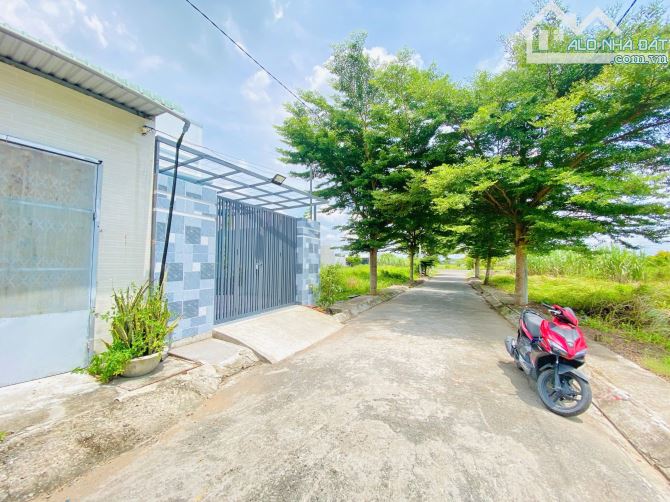 Nền Thổ _dt 124m2 MT Nhựa 5m, Gần QL1A, Mỹ Bình Tân Trụ LA, Giá 750 Tr - 1