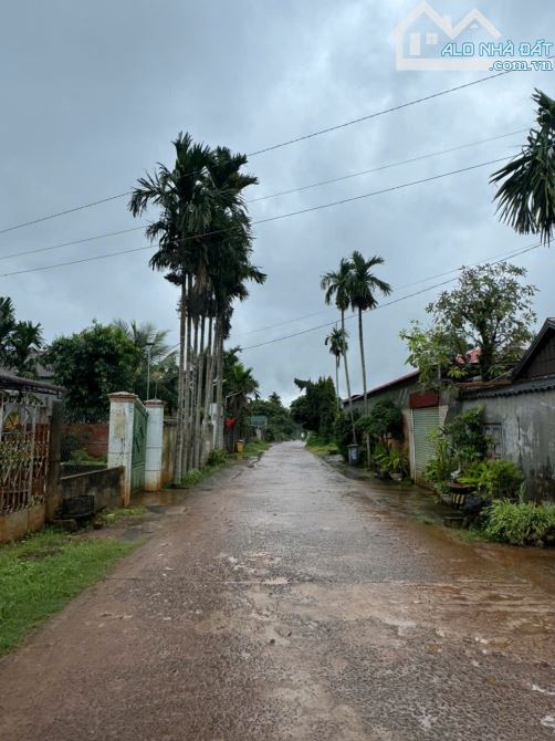 Chính chủ gửi bán lô đất phân lô Hoà Thắng chưa tới sân bay - 1