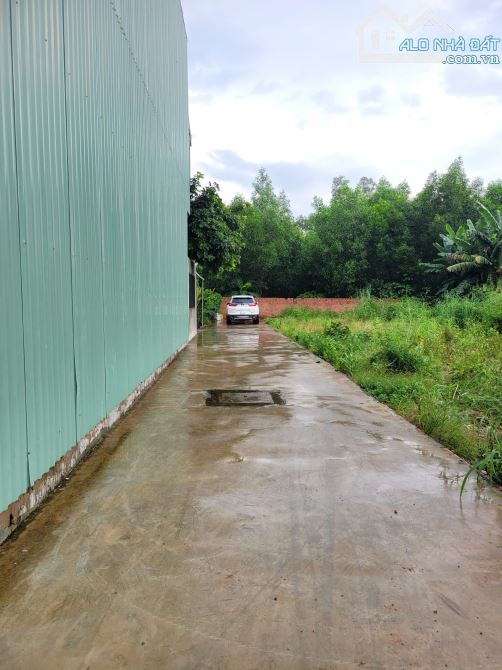 Bán đất sát trung tâm hành chính Dĩ An chỉ 2ty700 p.An Bình Tp.Dĩ An chỉ 2ty700 TL M7651 - 1