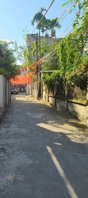 Bán mảnh đất 68m vuông đẹp tại ngõ 95 Việt Hưng, cách đường ô tô tránh 50m - 1