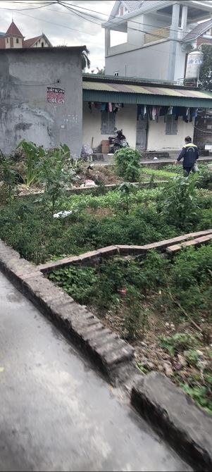VIN BẮC HỒNG- MỸ NỘI ĐÔNG ANH- ĐẤT Ô TÔ 78M2 - DÂN ĐÔNG Ở SƯỚNG - 1