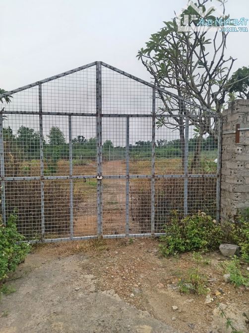 Bán 1450m2 đất tại Bình Yên _ Thạch Thất, ranh giới gọn gàng - 1