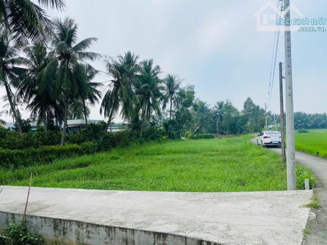 672m2 đất lúa - Được chuyển full thổ cư - Đường ô tô - 1