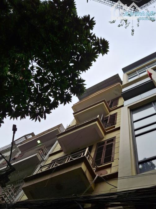 Cho thuê nhà làm văn phòng tại phố Trần QuangDiệu, Ô Chợ Dừa, Đống Đa 50m2 x4 tầng, 23tr - 1