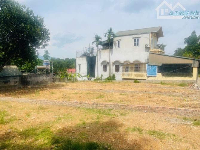 Bán Nhanh Lô Đất 110m² Mặt Trục Chính Trải Nhựa Phường Tùng Thiện, TP Hà Nội - 2