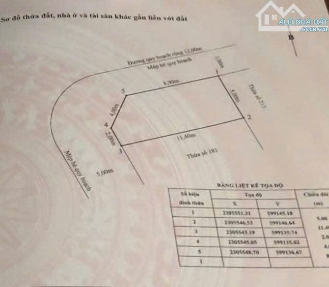 -Lô góc mặt đường đôi 30m TĐC Cây Đa 13 gốc  đường Bạch Thái Bưởi Lê Hồng Phong văn cao - 2