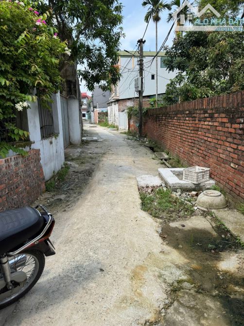 Cần bán đất 126,7m² ô tô vào tận nhà tại thôn Đường Yên, xã Thư Lâm, Đông Anh, Hà Nội - 2